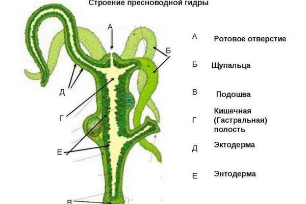 Kraken 4 ссылка