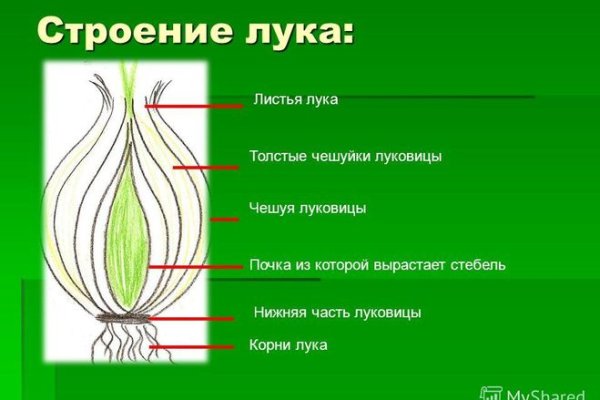 Рабочая ссылка на кракен в торе