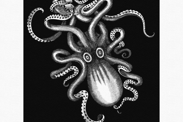 Kraken 19at