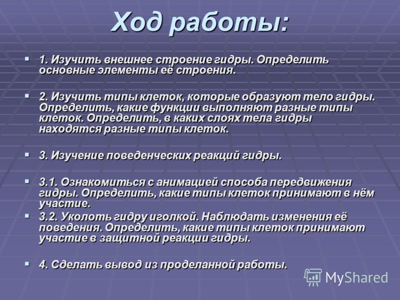 Почему в кракене пользователь не найден