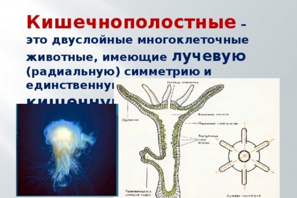 Кракен вход магазин