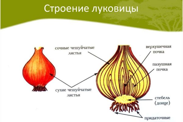 Кракен даркнет рабочая